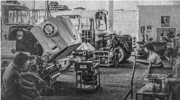 Trienergy primera sede