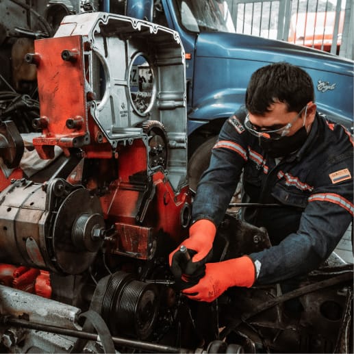 50 años Trienergy, líneas de negocio