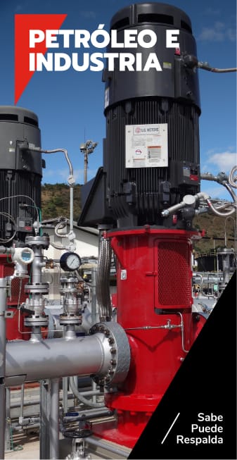 50 años Trienergy, líneas de negocio, petróleo e industria